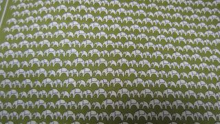 像柄がかわいいです