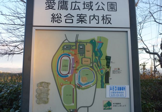 愛鷹広域公園 クチコミ アクセス 営業時間 沼津 フォートラベル