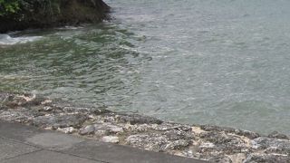 クラゲ防止ネット無しです