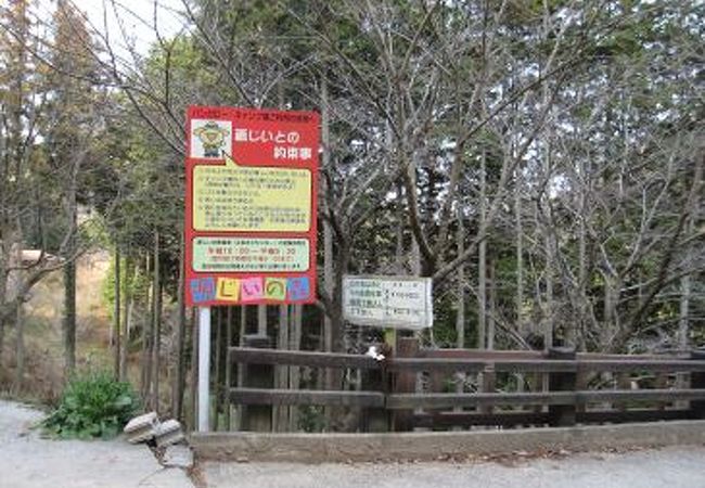 赤村自然学習村 源じいの森キャンプ場