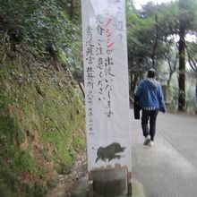 奥社へ行く途中の看板　イノシシに遭遇したら電話できないってw