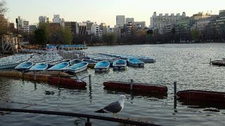 地味ですが散策するとそれなりに風情がある