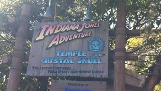 絶叫系が乗れない人でも試してみる価値があります