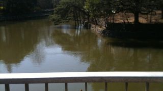 穴場の区立公園