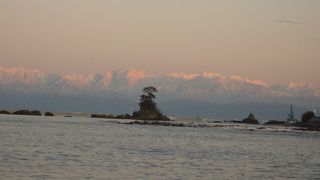 連れて行ってもらいました