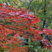 関東の紅葉名所