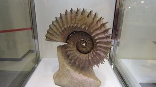 ミネラルショー