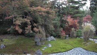 嵯峨野の紅葉ポイント