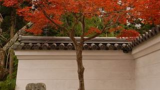 嵯峨野の紅葉ポイント