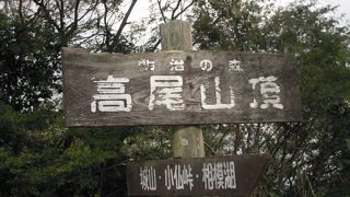 あなどってはいけません