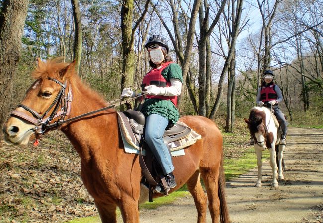 乗馬したい！関西でリーズナブルに外乗したいならここ