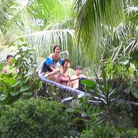 ジャングルの中のようなウオーター・スライダー