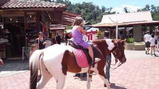 ちょっとさみしいかも