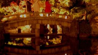 ライトアップが凄い