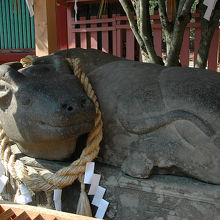 なでると商売繁盛！だそうです