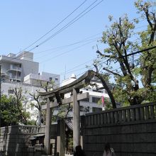 ビジネス街の神社