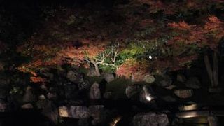 京都を感じる道