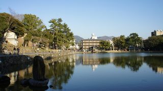 興福寺五重塔と池の周囲の柳が一緒に水面に映る風景が奈良八景の一つ