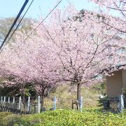 ログハウス調のおしゃれな駅