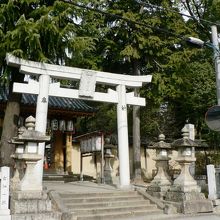 桜の名所として歌枕となっていた片埜神社（かたのじんじゃ）