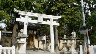 「牧野の桜」と呼ばれる桜の名所として歌枕となっていた片埜神社（かたのじんじゃ）