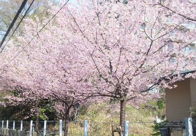 ログハウス調のおしゃれな駅