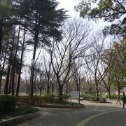 都会の大きな公園