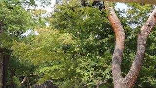 世界遺産・昌徳宮秘苑、長寿を祈願する門