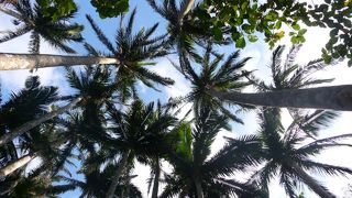 場所が分かりづらかったです