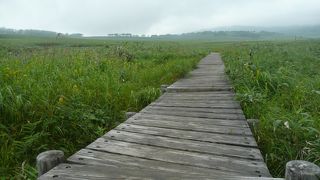 お気に入りのハイキングスポット