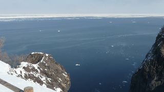 シカの大群に遭遇