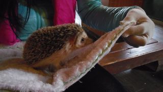 動物と間近に触れあえる！