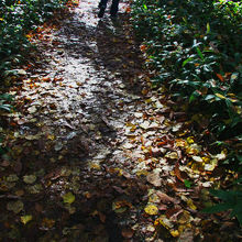 こういう所を歩いて向かいます