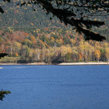 左に見える白いのがそれ・・