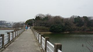 犬を散歩させたり、ジョギングをしている人がちらほらいて