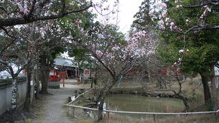 平城の飛鳥とよばれた地域