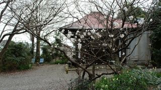 南大門を入ると西にあったと言う小塔院の跡