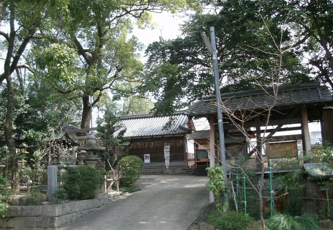 京都市内最古の神社のひとつ