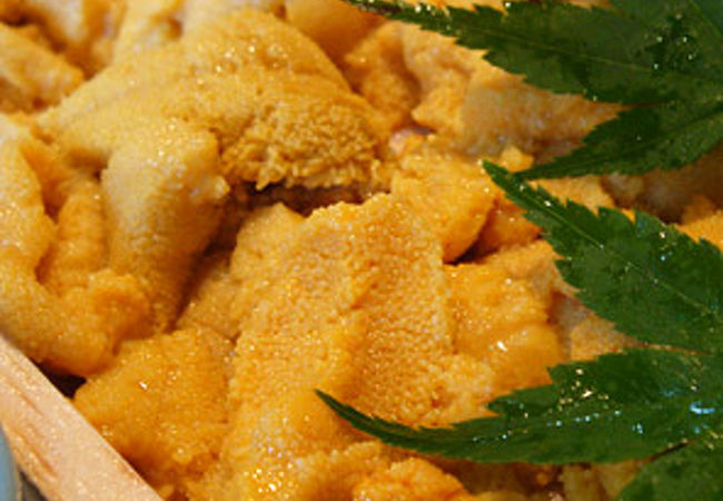 ウニ丼とお寿司を食べに札幌から行きます