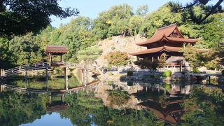 国の名勝・池泉回遊式庭園が見事！
