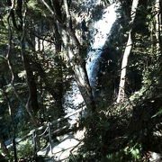 目と鼻の先まで近づき、虹が見れる河津の滝