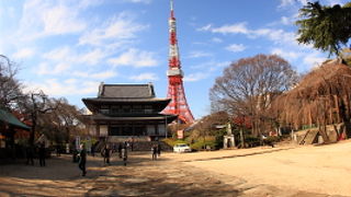 見所いっぱい！