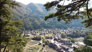 白川郷城山展望台 絶対に行って欲しい、白川郷一望スポット！