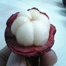 横前面にフォークで切り目を入れ、皮を捲る