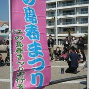 江の島が楽しい　2014年情報