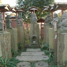 河童七福神勢ぞろい