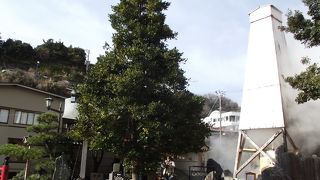 銭洗いで金運アップと縁結びの木で恋の成就を願えます