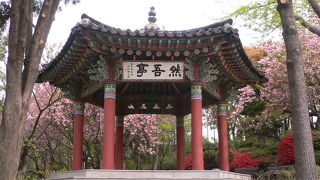 マッカーサー銅像に会えます