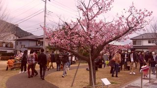 足湯もあります