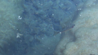 札幌から近い大自然